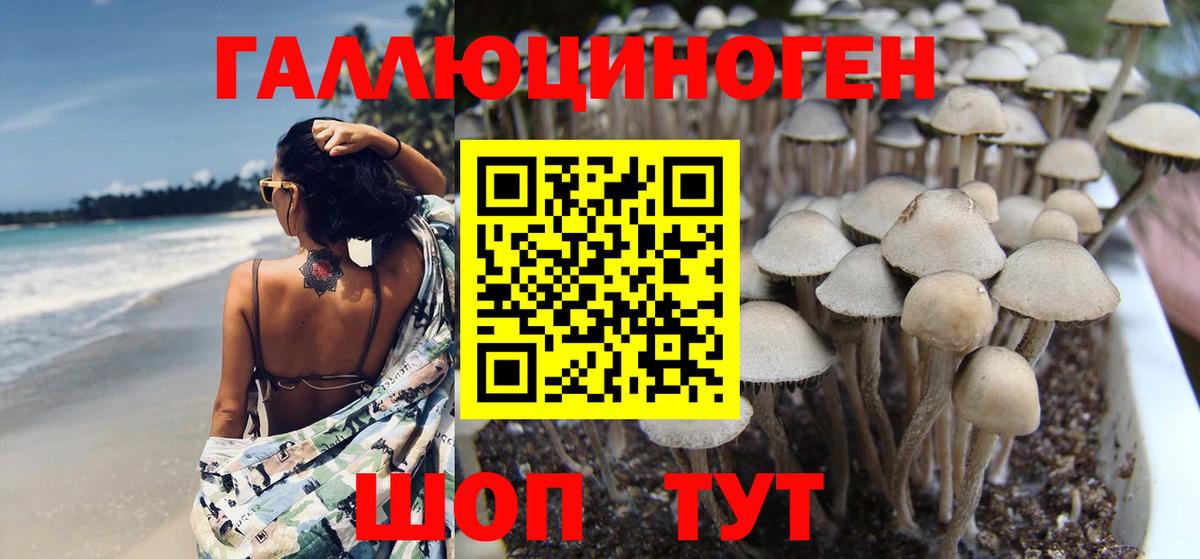 Галлюциногенные грибы Psilocybine cubensis  Вход с VPN  Еманжелинск  где найти наркотики  Галлюциногенные грибы мицелий 